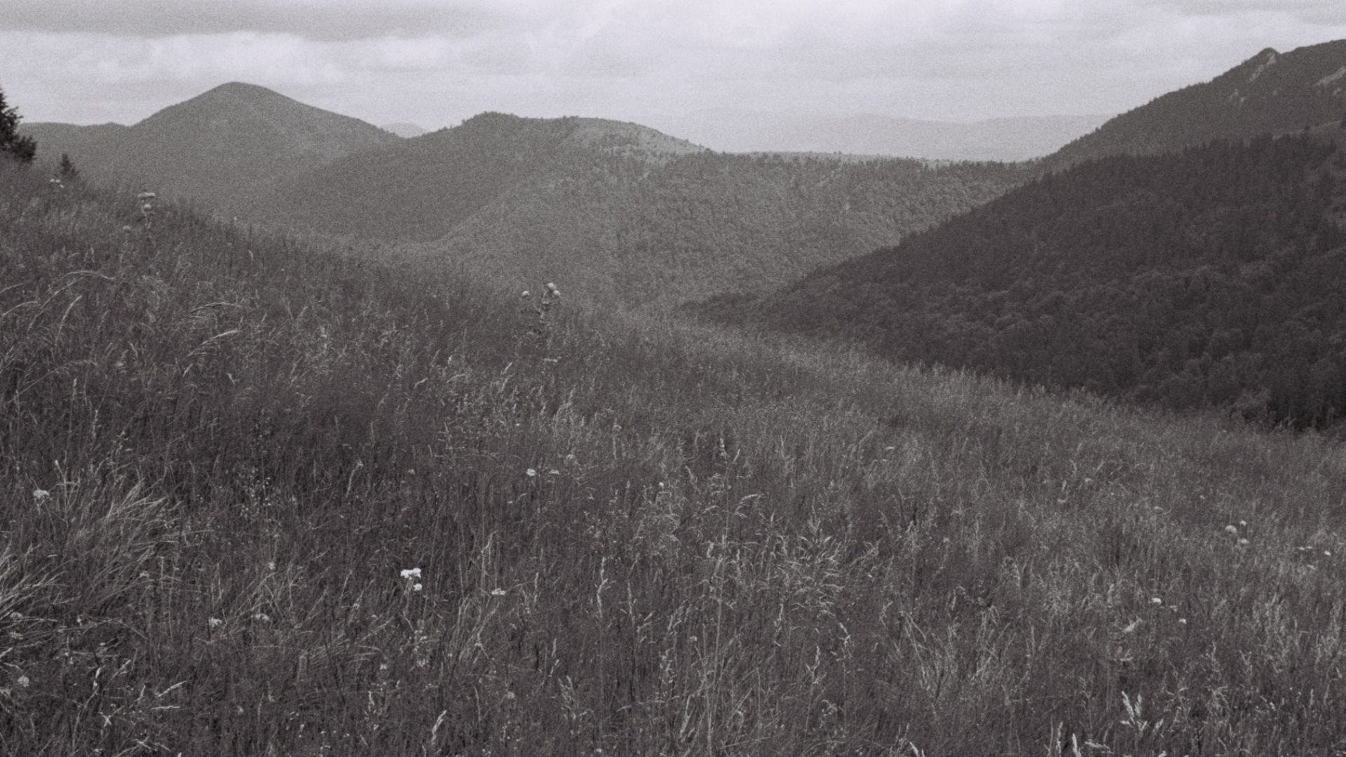 Soil, care and repair in spatial practice for a more than human world, frame 6