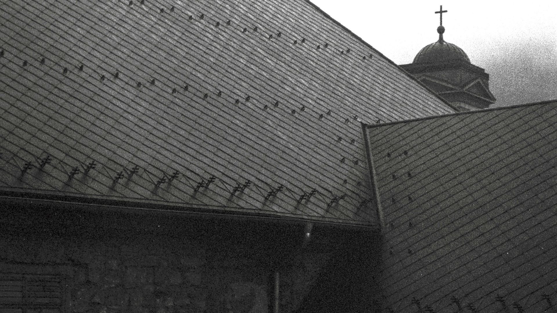 Soil, care and repair in spatial practice for a more than human world, frame 8
